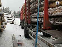 Уголовное дело возбуждено после гибели рабочего из-за упавшего ствола берёзы