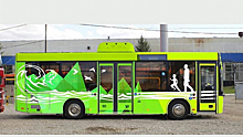 Для Камчатки закупили 21 автобус с газомоторными двигателями