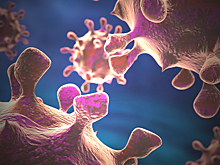 Близкородственные вирусы выработали механизм общения маленькими белками