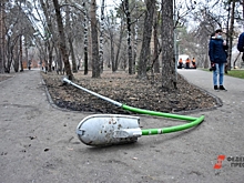 Власти Рязани ищут способы борьбы с вандализмом в парках и скверах