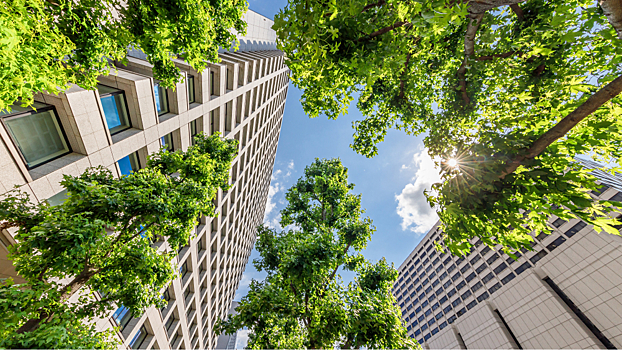 Названо оптимальное для счастья количество зеленых насаждений в городе