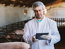 Опасны ли антибиотики в мясе и молоке