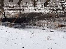 Опубликованы кадры с места взрыва неизвестного объекта под Тулой