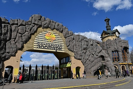 Павильон «Ластоногие» откроют в Московском зоопарке
