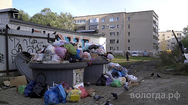 Около ста контейнерных площадок в день проверяют в Вологде