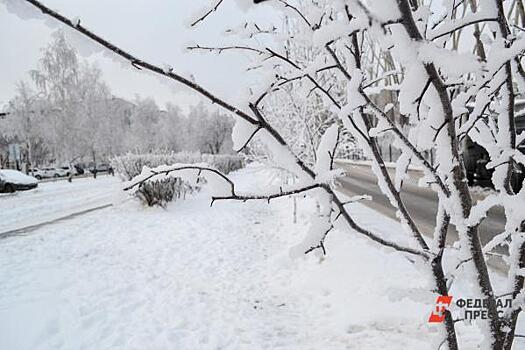 В Челябинскую область вернулись сильный ветер и снегопад