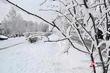Синоптики спрогнозировали, когда в Новосибирской области растает снег