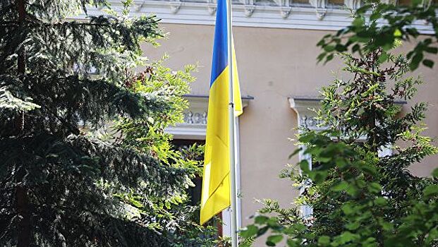 СМИ: на Украине националисты унизили девочку, снявшую, как срывают флаг