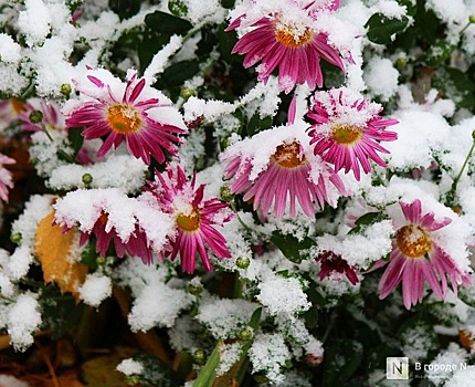 Мокрый снег может пойти в Нижегородской области из-за циклона &quot;Бернвард&quot;