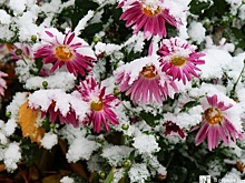 Мокрый снег может пойти в Нижегородской области из-за циклона &quot;Бернвард&quot;