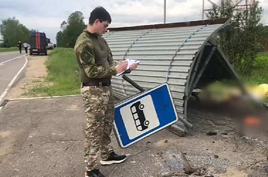 Водитель Maserati, сбивший детей на остановке под Можайском, был лишён водительских прав