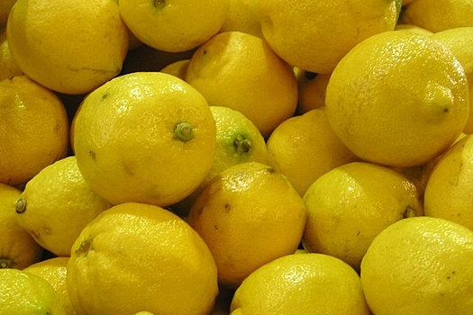 Лимонами на Ямале сыт не будешь
