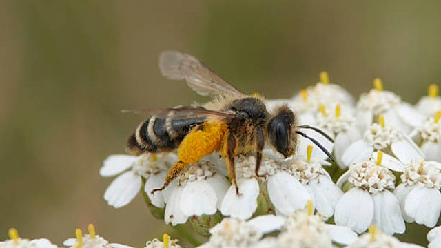 Народные приметы на 28 апреля 2024 года: что нельзя делать в этот день