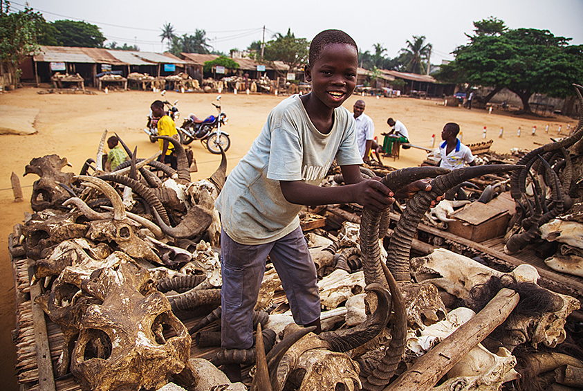 Крупнейший вуду-рынок в мире Акодессева расположен в столице государства Того Ломе. 51 процент населения страны верит в вуду, поэтому недостатка в покупателях у колдунов нет