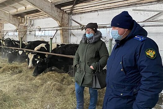 Юрист рассказал, что грозит владельцам фермы, где коров довели до истощения