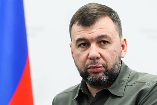 Пушилин: будущее дипломатии РФ связано с защитой правды о войне 1941-1945 годов