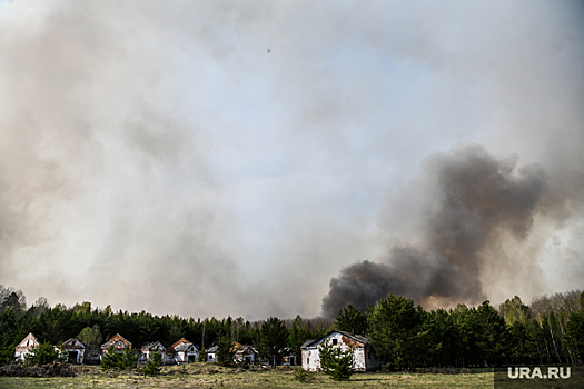 В ЯНАО на борьбу с пожарами прибыли специалисты из Тюменской, Иркутской и Архангельской областей