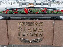 Ямальские поисковики поделились планами на «Вахту памяти – 2024»