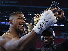 Чемпион мира Джошуа готов провести поединок с бойцом ММА