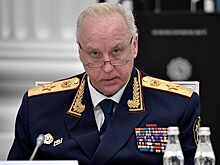 Бастрыкина заинтересовал мордобой на дороге с участием иностранца