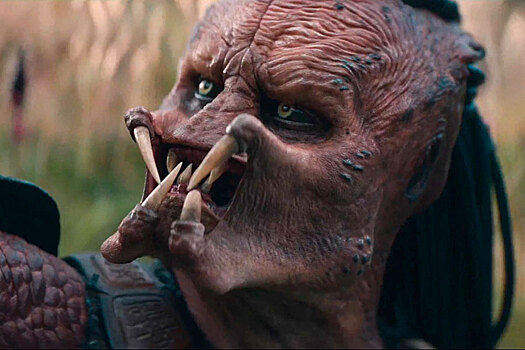 Топ-5 кинопремьер ноября