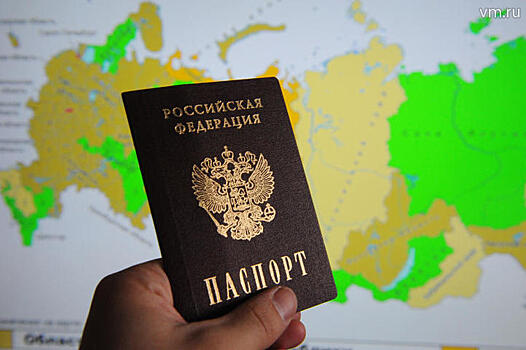 МЭР рассчитывает запустить электронные визы для въезда в Россию в 2020 году