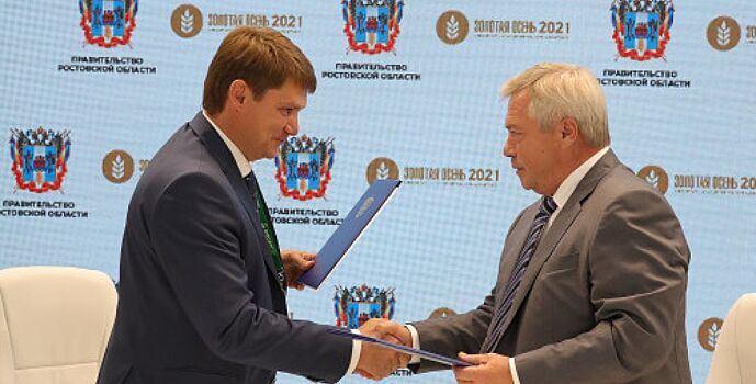 Новый зерновой терминал будет возведён на Дону
