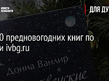 Топ-10 предновогодних книг по версии ivbg.ru