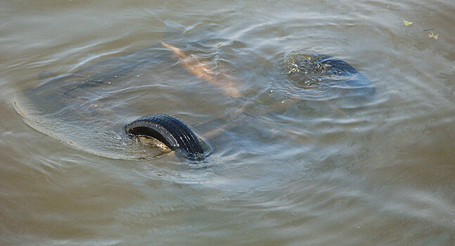 Машина упала в реку в Астане