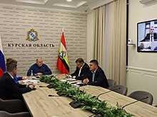 Алексей Смирнов обсудил в замруководителя Росреестра помощь жителям приграничья