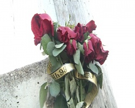 Преступление без наказания. Итоги недели