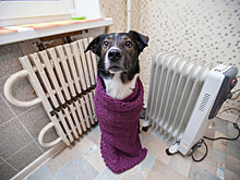 Штрафы за нарушения перед отопительным сезоном введут в России