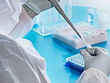 Российские ученые создали технологию для восстановления нервов