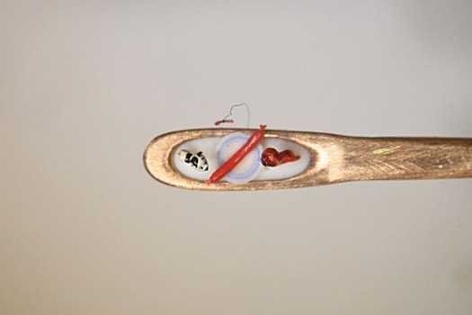 Новосибирский мастер создал миллиметрового котенка по имени Гав в игольном ушке