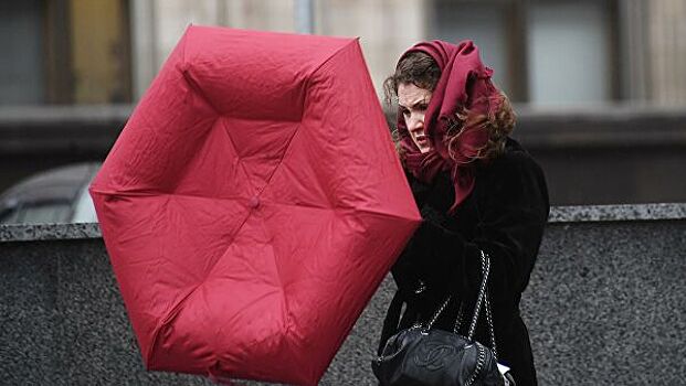 МЧС предупреждает москвичей об усилении ветра