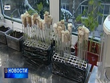 В Уфе обсудили вопросы органического сельского хозяйства