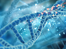 Что наука знает о внутренних часах организма: разбор