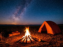 ЛНР готовит сюрприз для любителей дикого отдыха