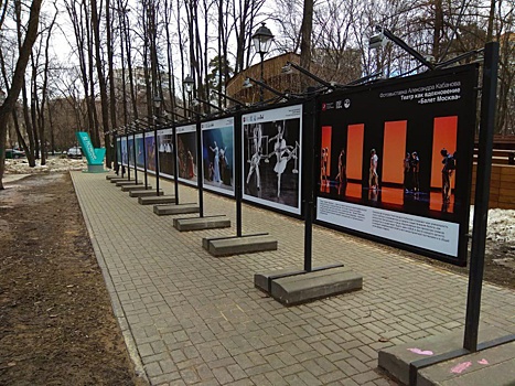 Новая фотовыставка открылась в Бабушкинском парке