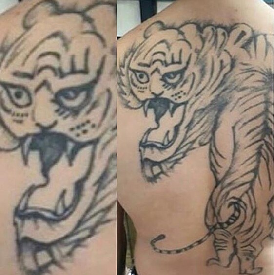 Страшный тигр.