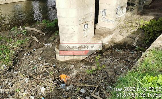 В Курске волонтеры приглашают 6 мая на уборку берега реки Сейм