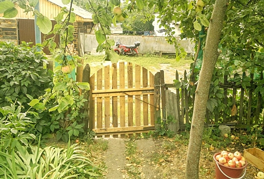 На омских дачах и СНТ официально запретили шуметь по ночам