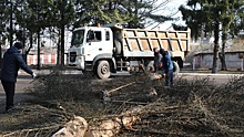 Более 100 кубометров мусора с начала года вывезено с территории Введенского кладбища Вологды