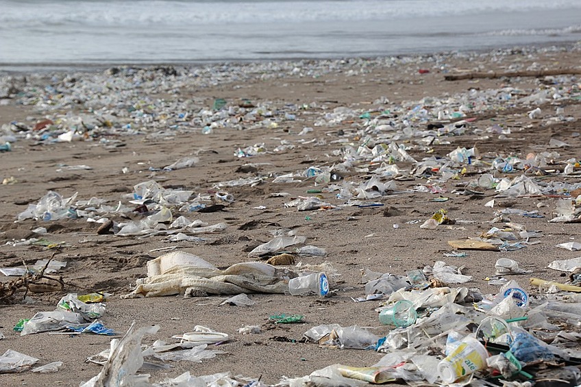 Чтобы не ухудшать экологическое состояние планеты, постарайтесь ограничить для себя использование вещей, выполненных из не биоразлагаемых материалов. Например, постарайтесь минимизировать использование пластиковых пакетов.