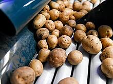 В офисе Зеленского сравнили украинские и российские продукты