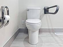 Политик подключился к заседанию городского совета с унитаза