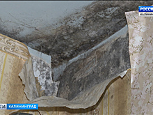 Жители аварийного дома на улице Нансена жалуются на непригодные для жизни условия
