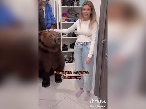 Юрист рассказал, могут ли наказать блогершу из Мытищ за видео с медведем в квартире