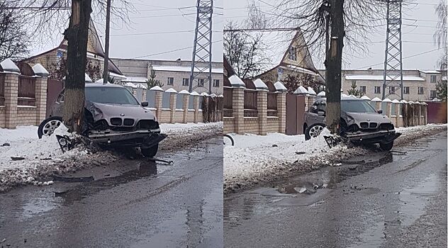 Скворечник в виде BMW на дереве мешает жить костромичам