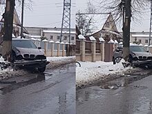 Скворечник в виде BMW на дереве мешает жить костромичам